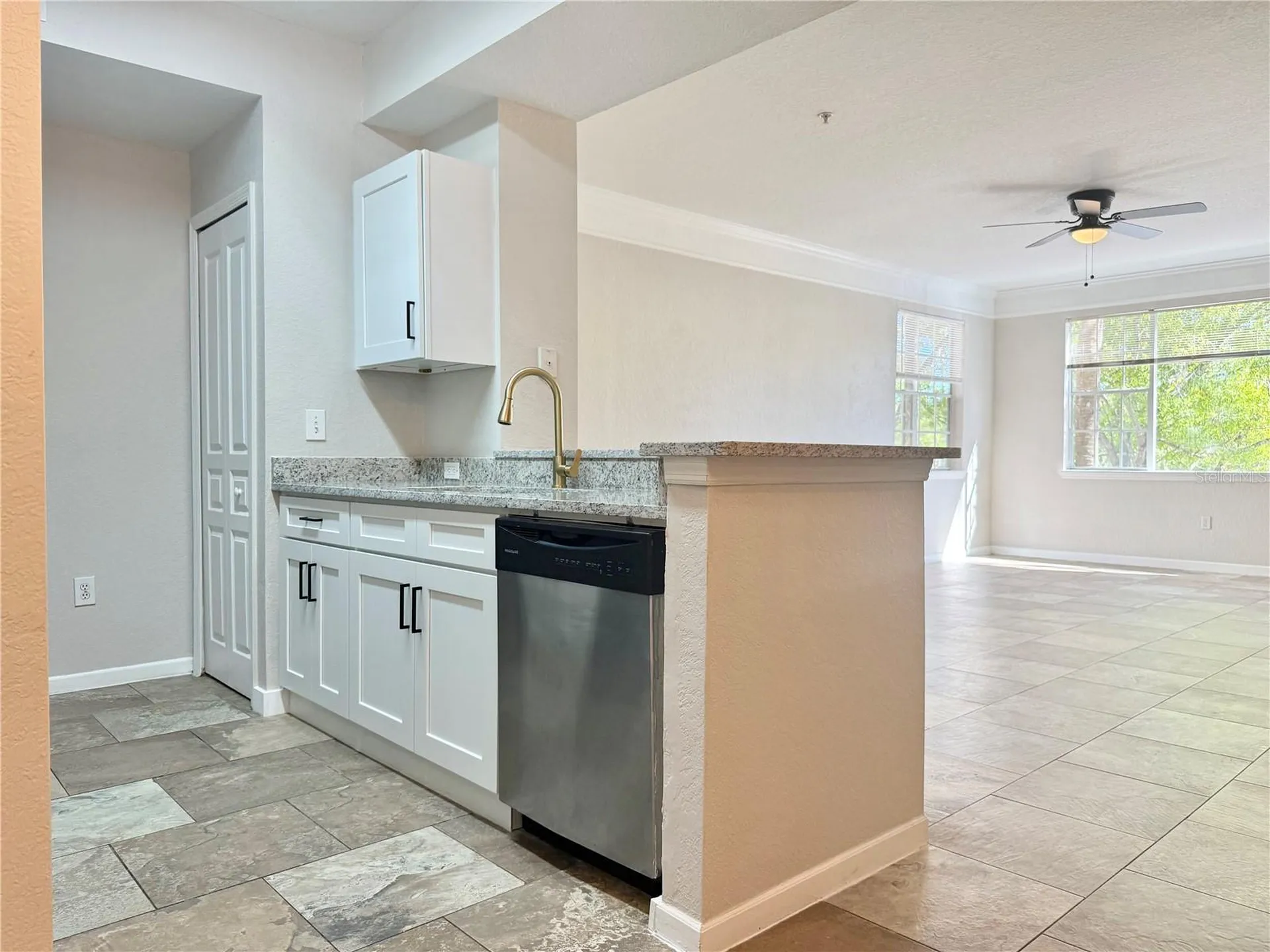 17114 Carrington Park Drive Tampa FL 33647