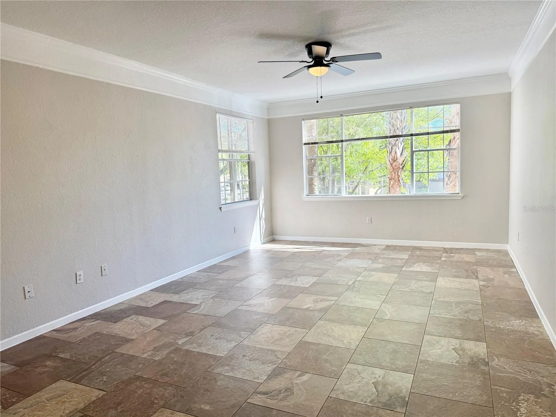 17114 Carrington Park Drive Tampa FL 33647