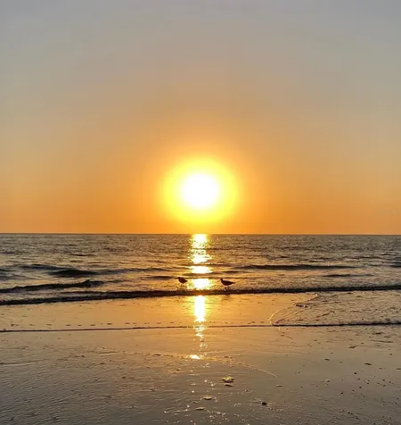 15462 Gulf Boulevard Madeira Beach FL 33708