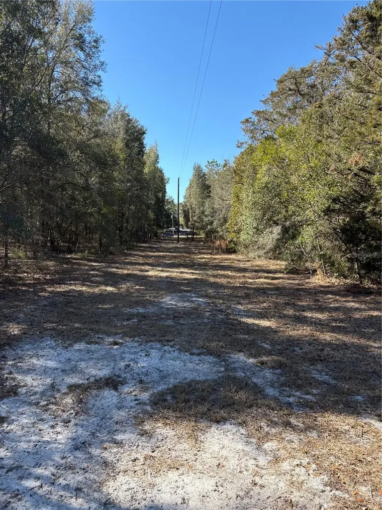 11727 SW 122nd Street Gainesville FL 32608