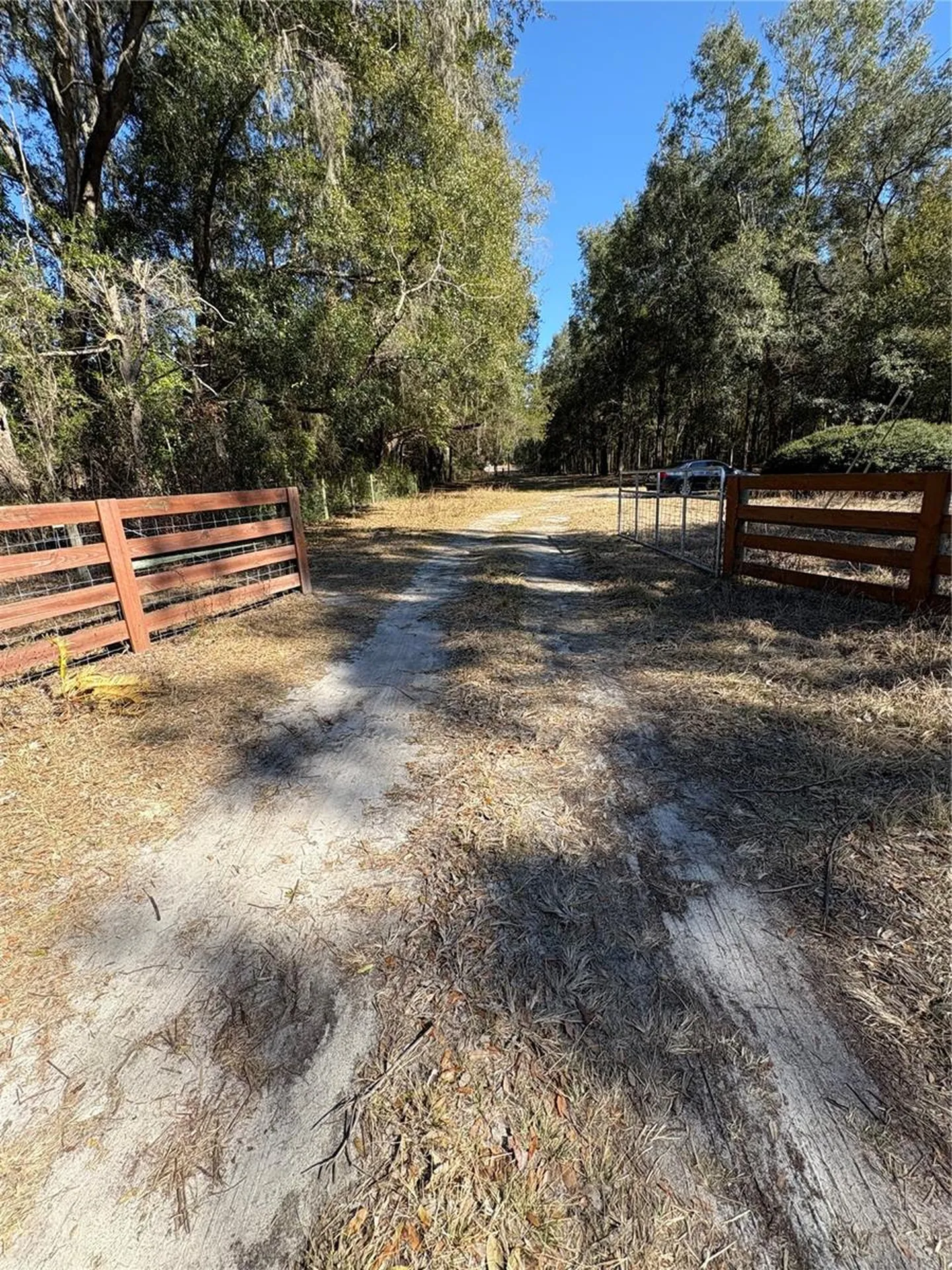 11727 SW 122nd Street Gainesville FL 32608