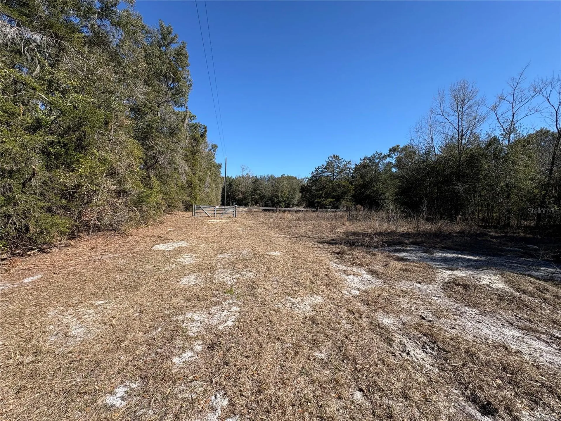 11727 SW 122nd Street Gainesville FL 32608
