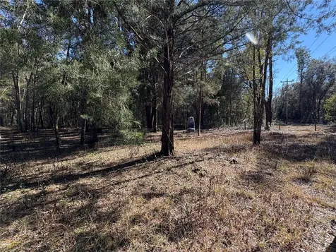 11727 SW 122nd Street Gainesville FL 32608