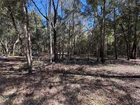 11727 SW 122nd Street Gainesville FL 32608