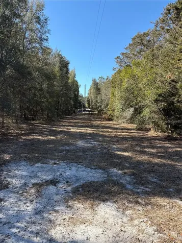 11727 SW 122nd Street Gainesville FL 32608