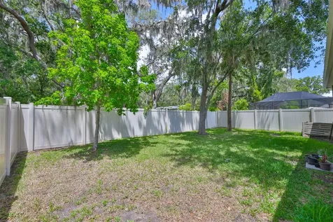 11915 Twilight Darner Place Riverview FL 33569