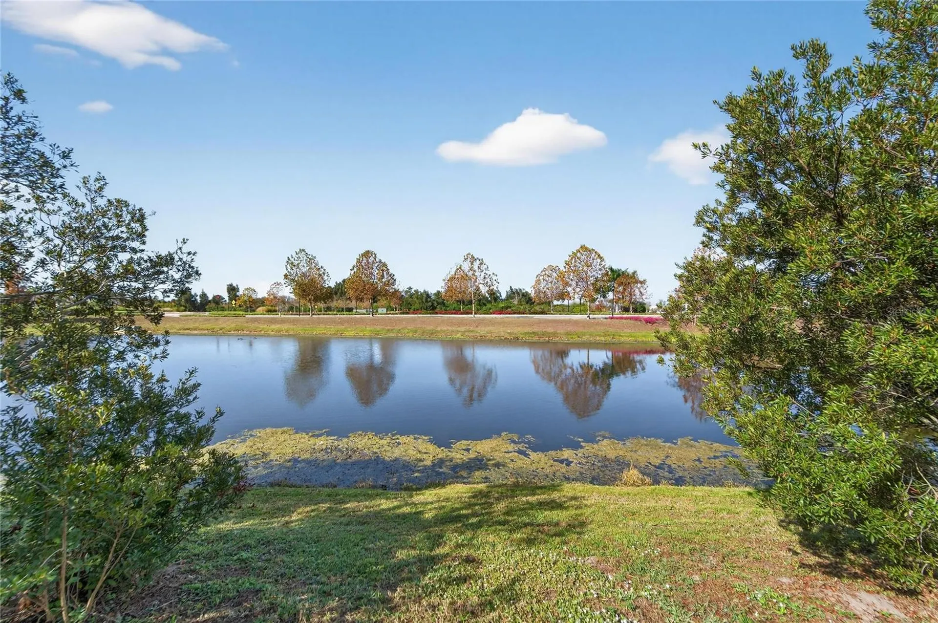 6230 Camino Drive Apollo Beach FL 33572