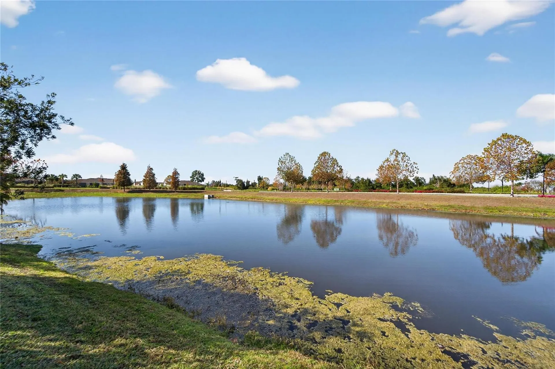 6230 Camino Drive Apollo Beach FL 33572
