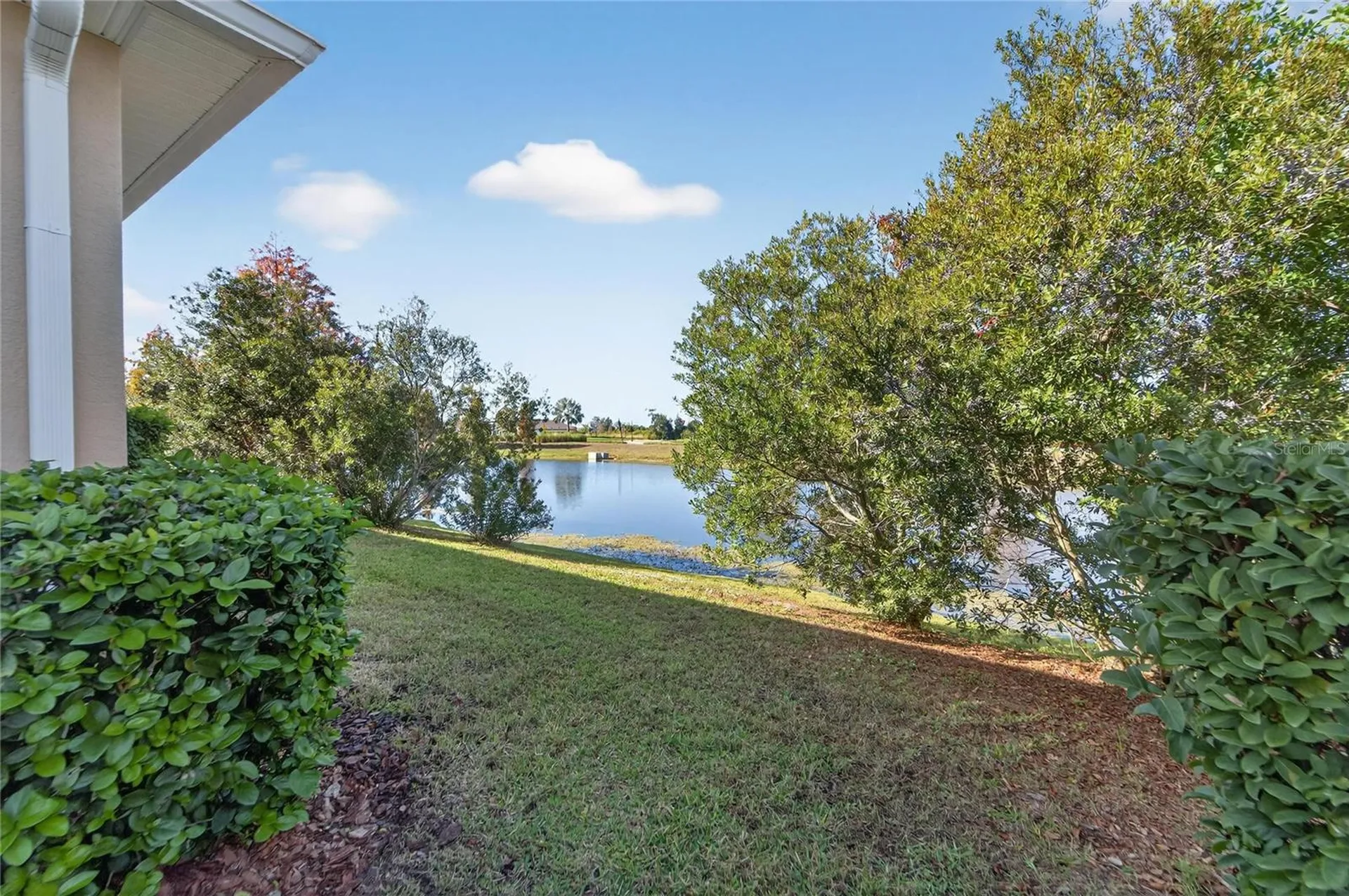 6230 Camino Drive Apollo Beach FL 33572