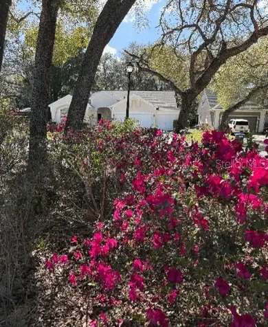 214 Chestnut Ridge Street Winter Springs FL 32708