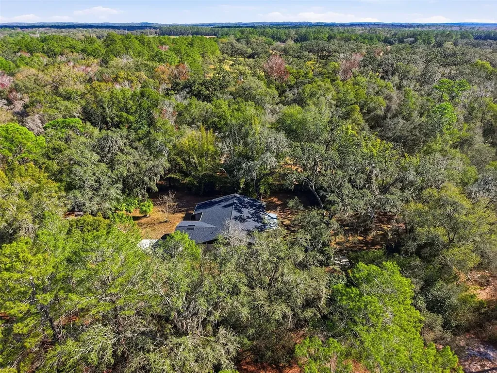 16426 Forzando Avenue Brooksville FL 34604