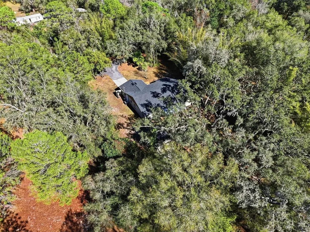 16426 Forzando Avenue Brooksville FL 34604