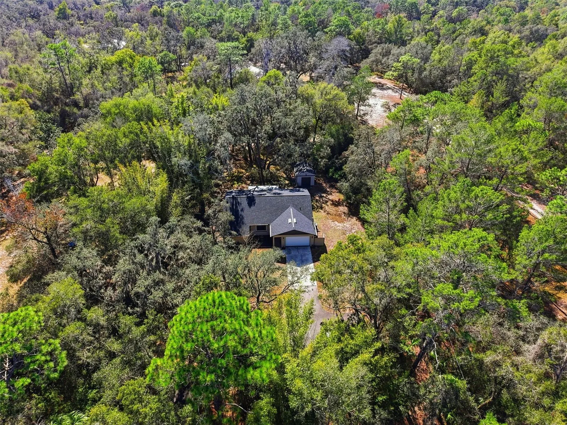 16426 Forzando Avenue Brooksville FL 34604