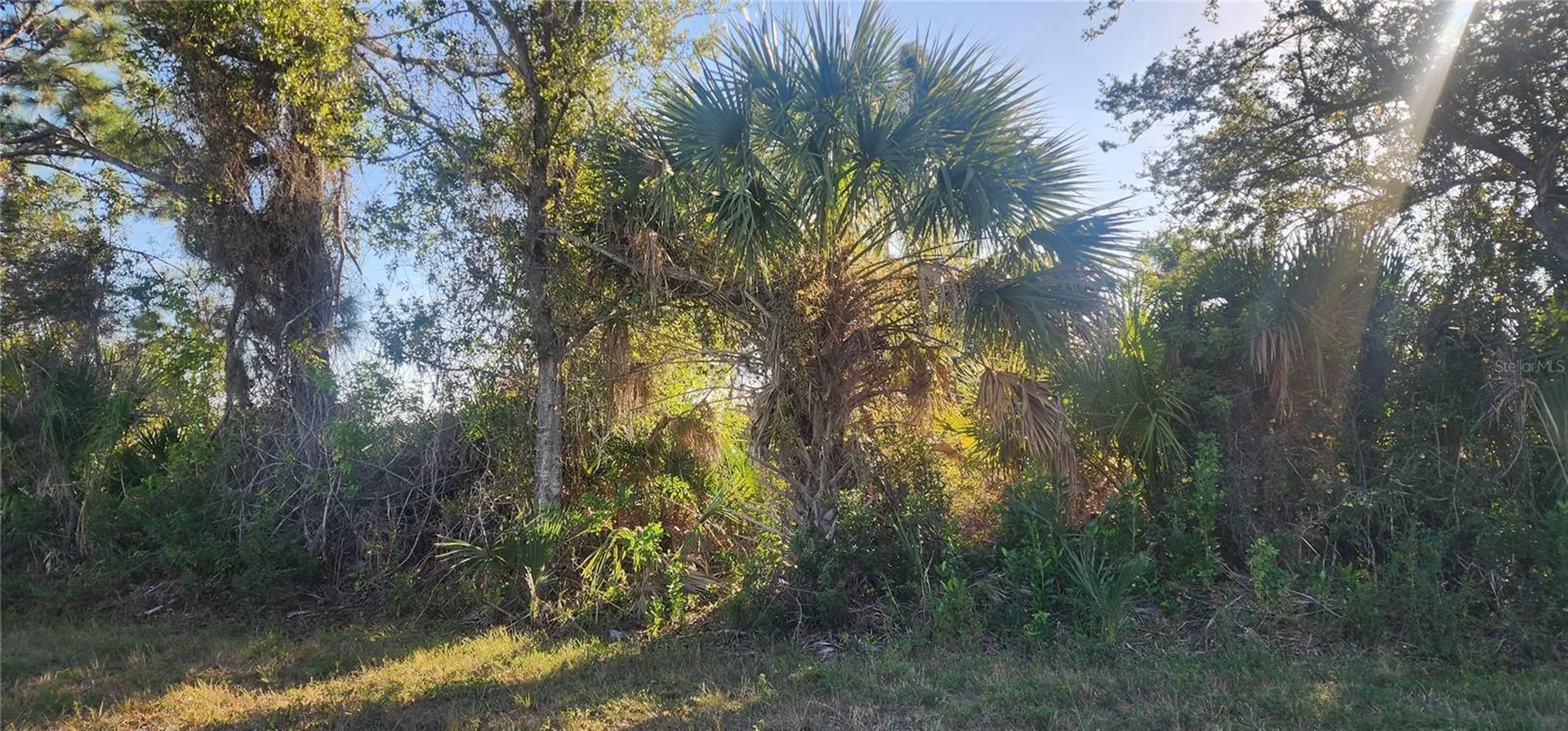 14025 Paris Lane Port Charlotte FL 33981