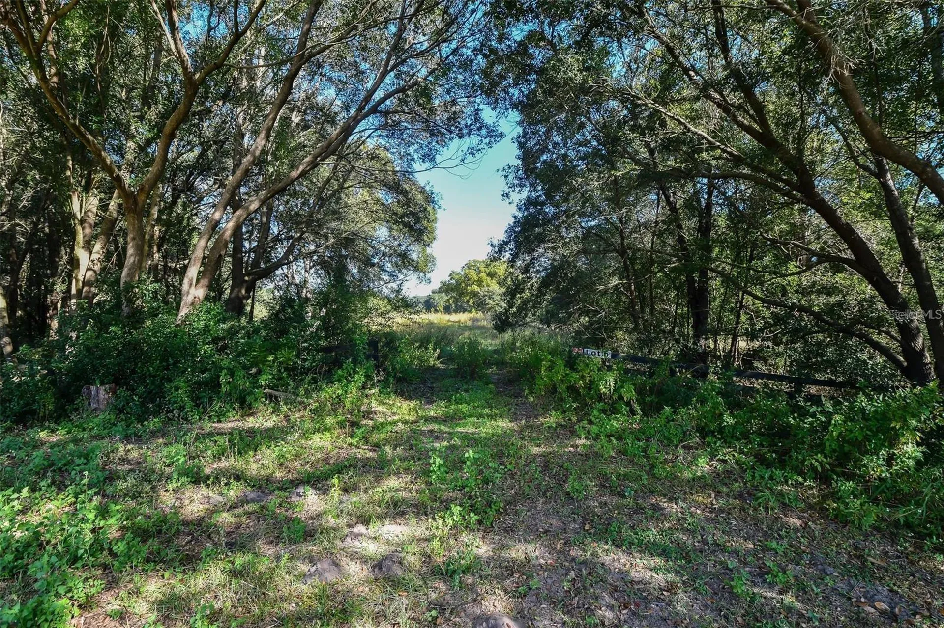 Lot 6 Tree Frog Lane Eustis FL 32736