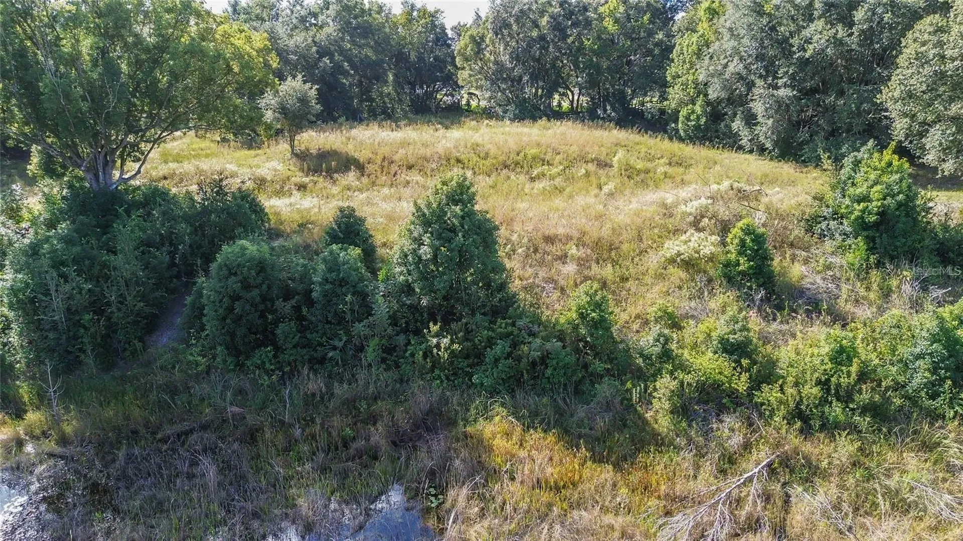 Lot 6 Tree Frog Lane Eustis FL 32736