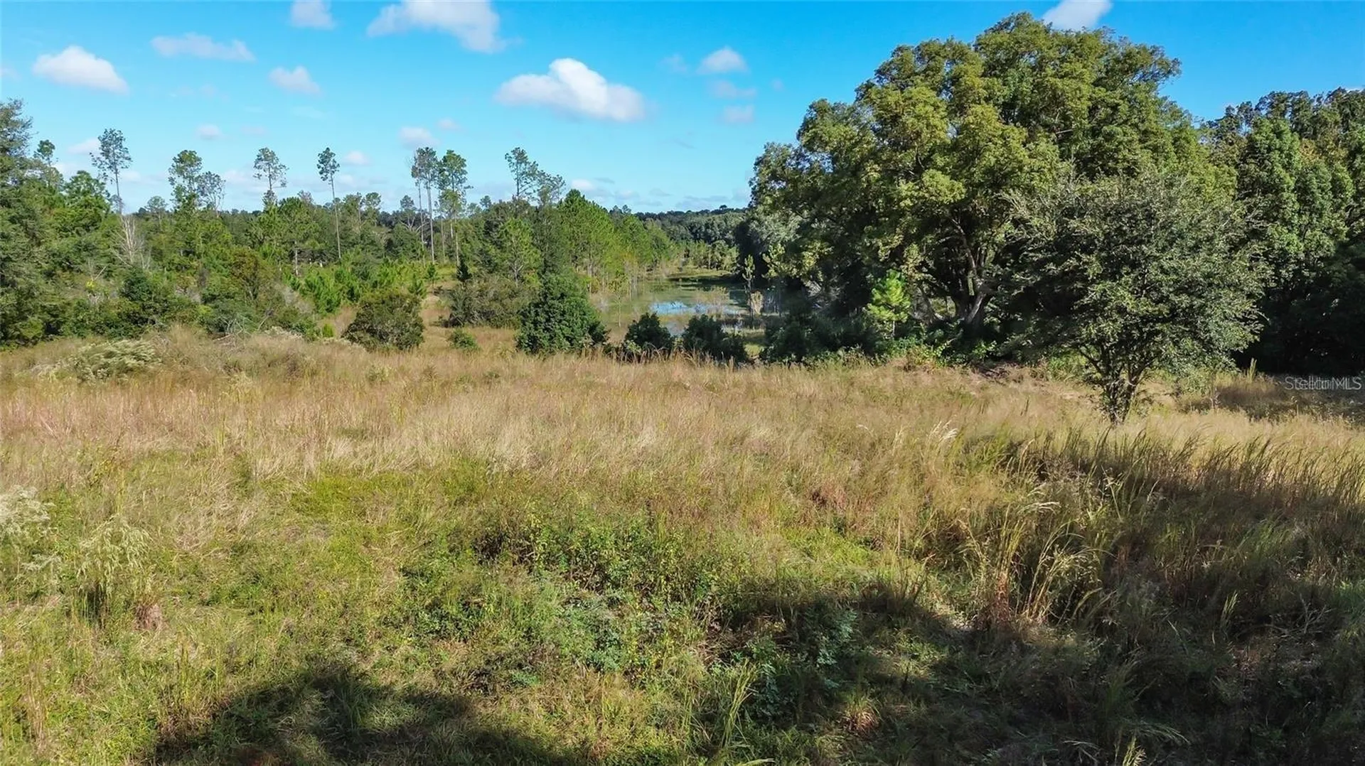 Lot 6 Tree Frog Lane Eustis FL 32736
