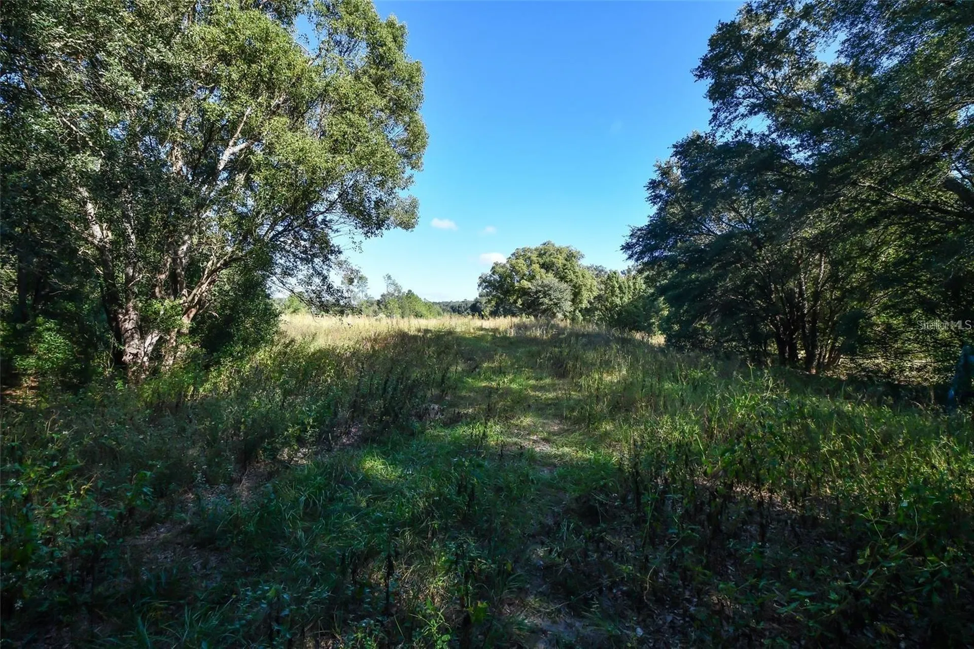 Lot 6 Tree Frog Lane Eustis FL 32736