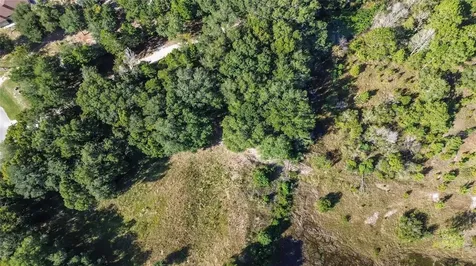 Lot 6 Tree Frog Lane Eustis FL 32736