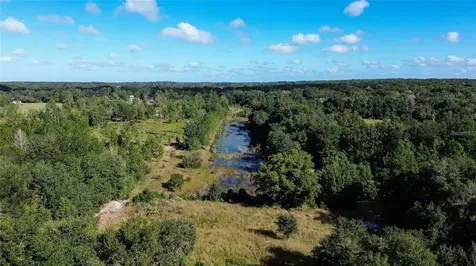 Lot 6 Tree Frog Lane Eustis FL 32736