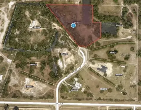 Lot 6 Tree Frog Lane Eustis FL 32736