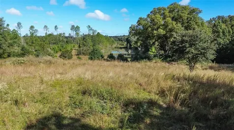 Lot 6 Tree Frog Lane Eustis FL 32736