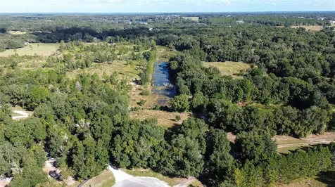 Lot 6 Tree Frog Lane Eustis FL 32736