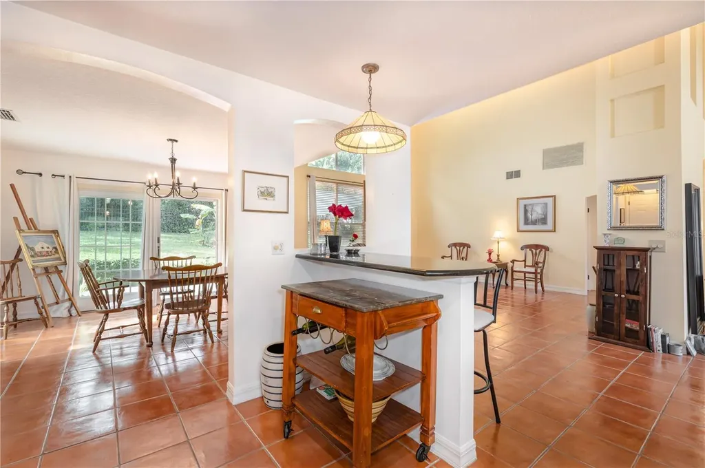 1405 Hilltop Drive Mount Dora FL 32757