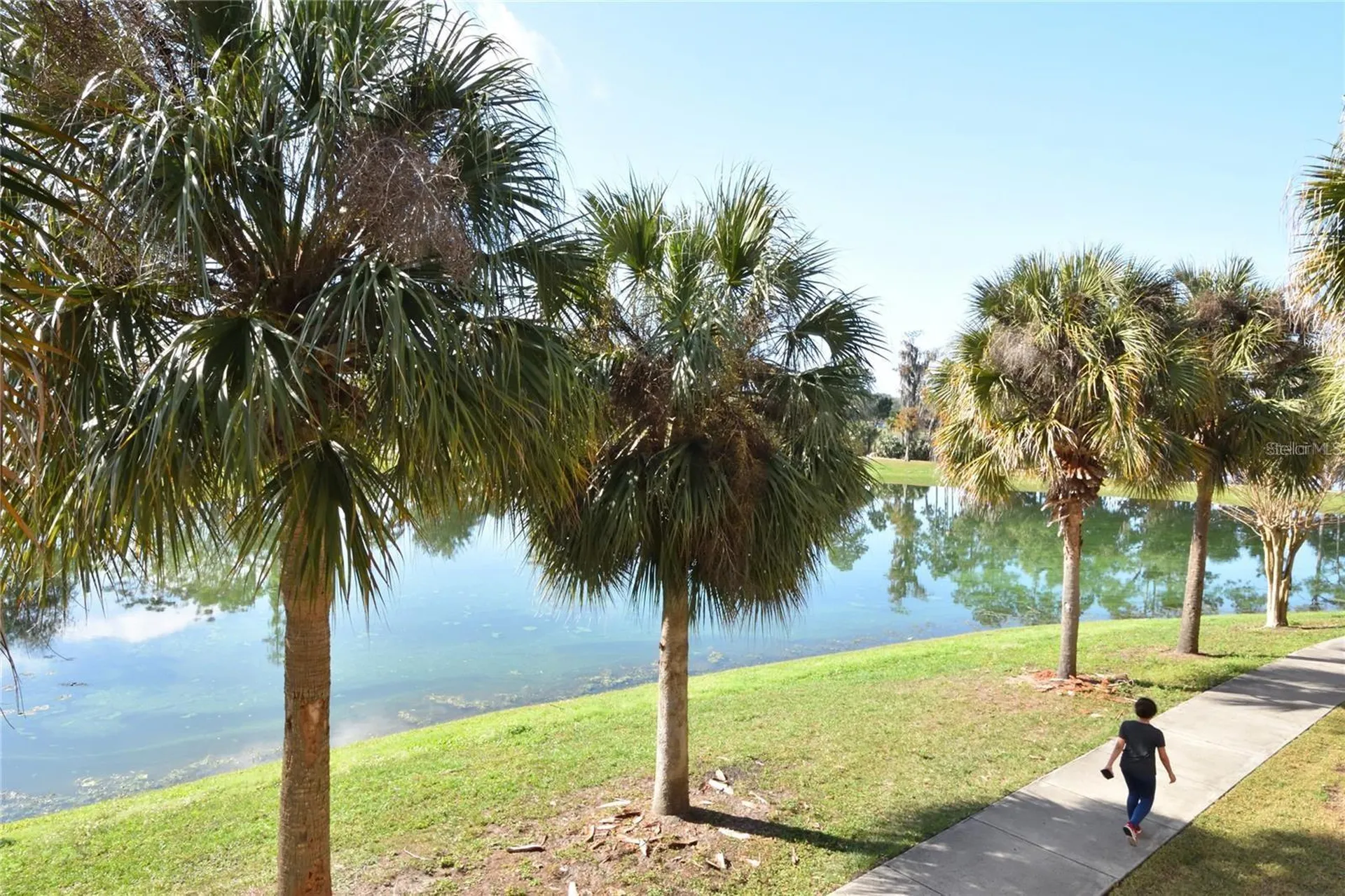 3396 Parkchester Square Boulevard Orlando FL 32835