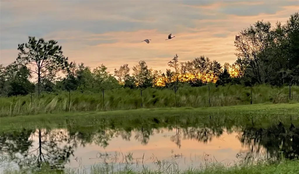 4900 J Jackson Road Fort Meade FL 33841