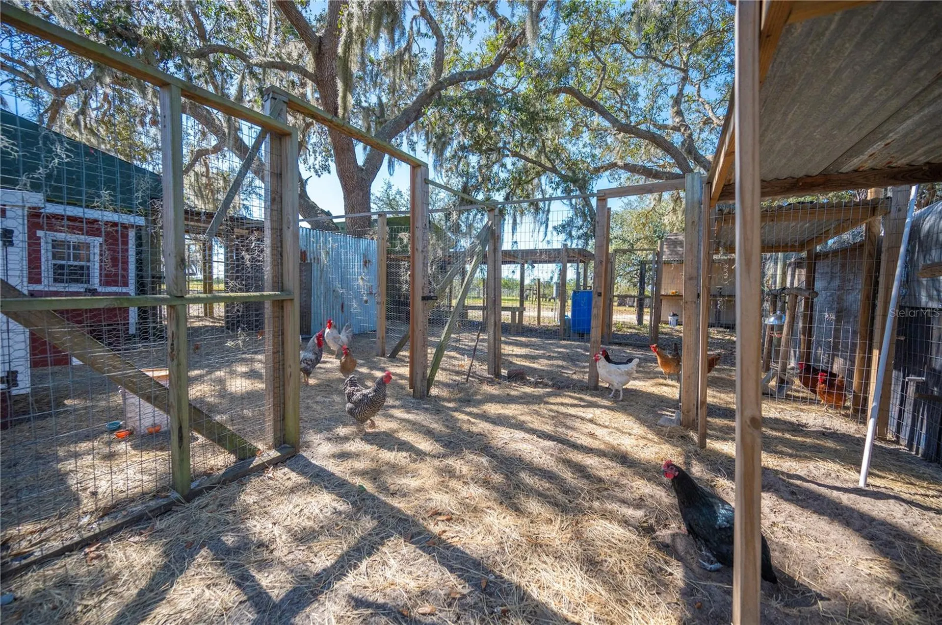 4900 J Jackson Road Fort Meade FL 33841