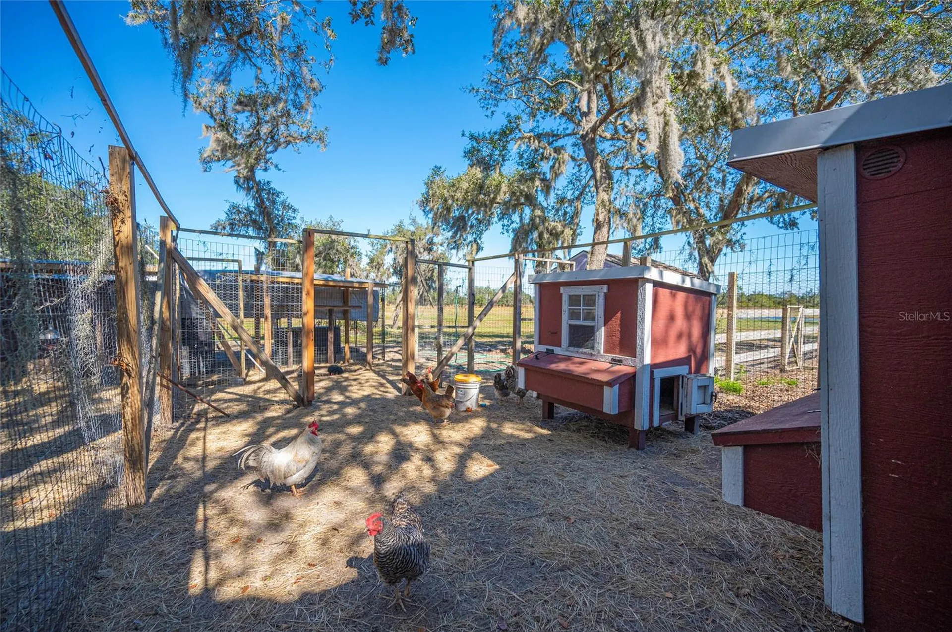 4900 J Jackson Road Fort Meade FL 33841