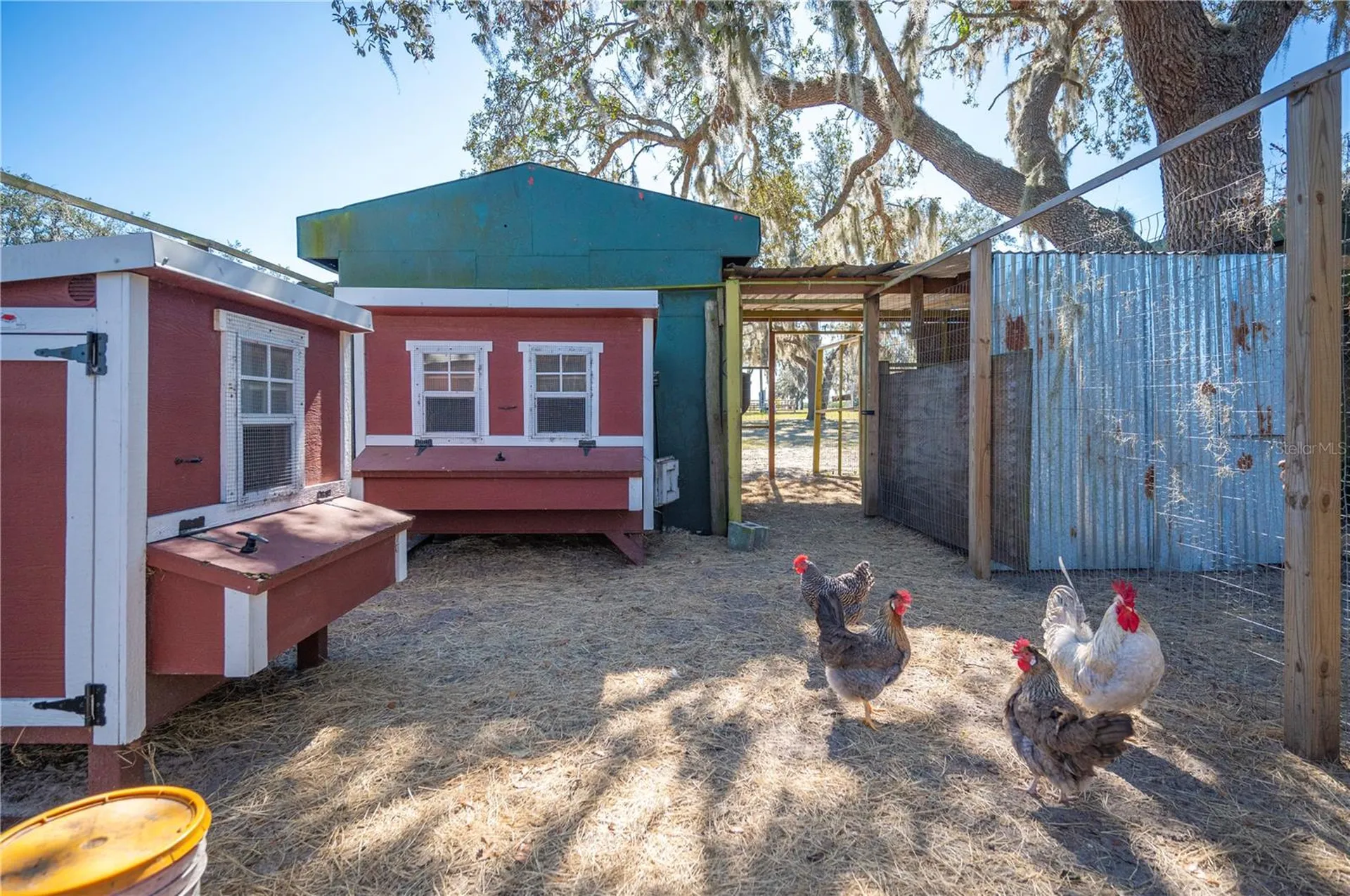 4900 J Jackson Road Fort Meade FL 33841