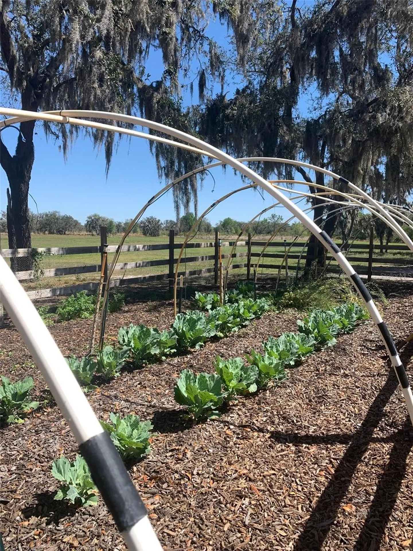 4900 J Jackson Road Fort Meade FL 33841