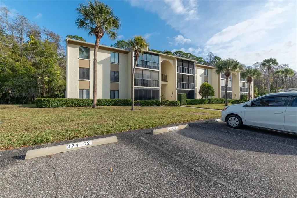 3101 Lake Pine Way Tarpon Springs FL 34688