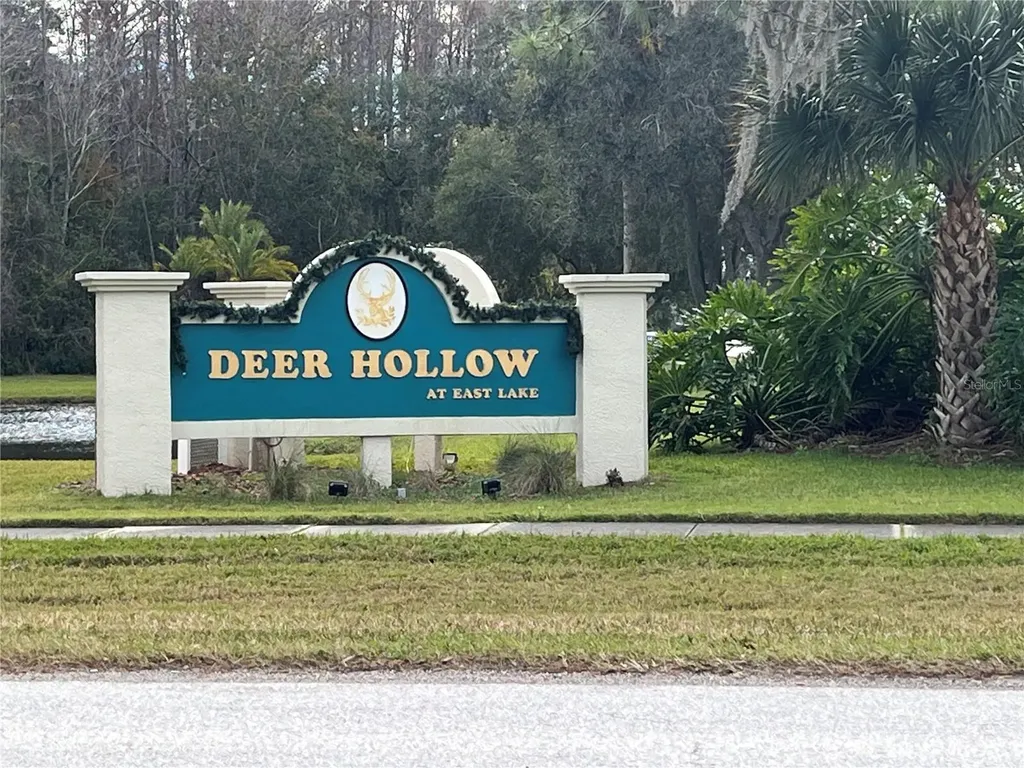 3101 Lake Pine Way Tarpon Springs FL 34688