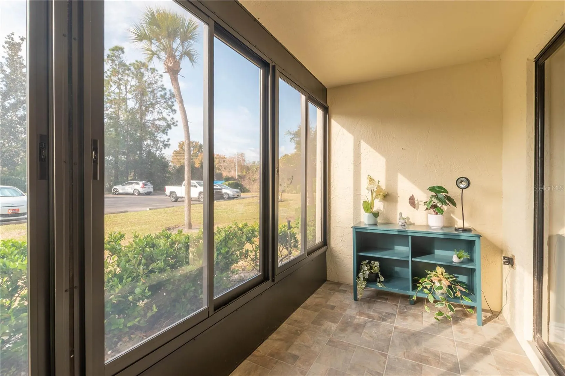 3101 Lake Pine Way Tarpon Springs FL 34688