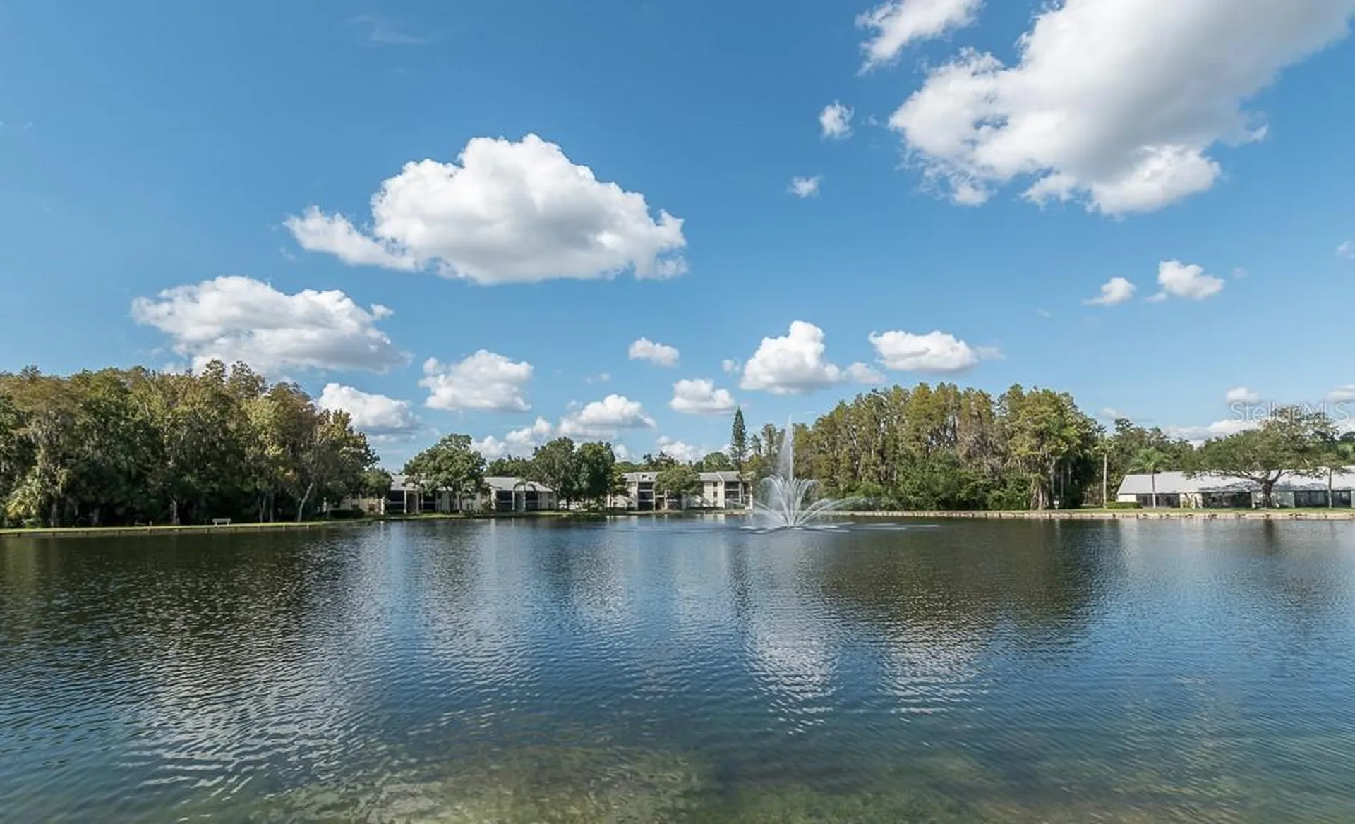 3101 Lake Pine Way Tarpon Springs FL 34688