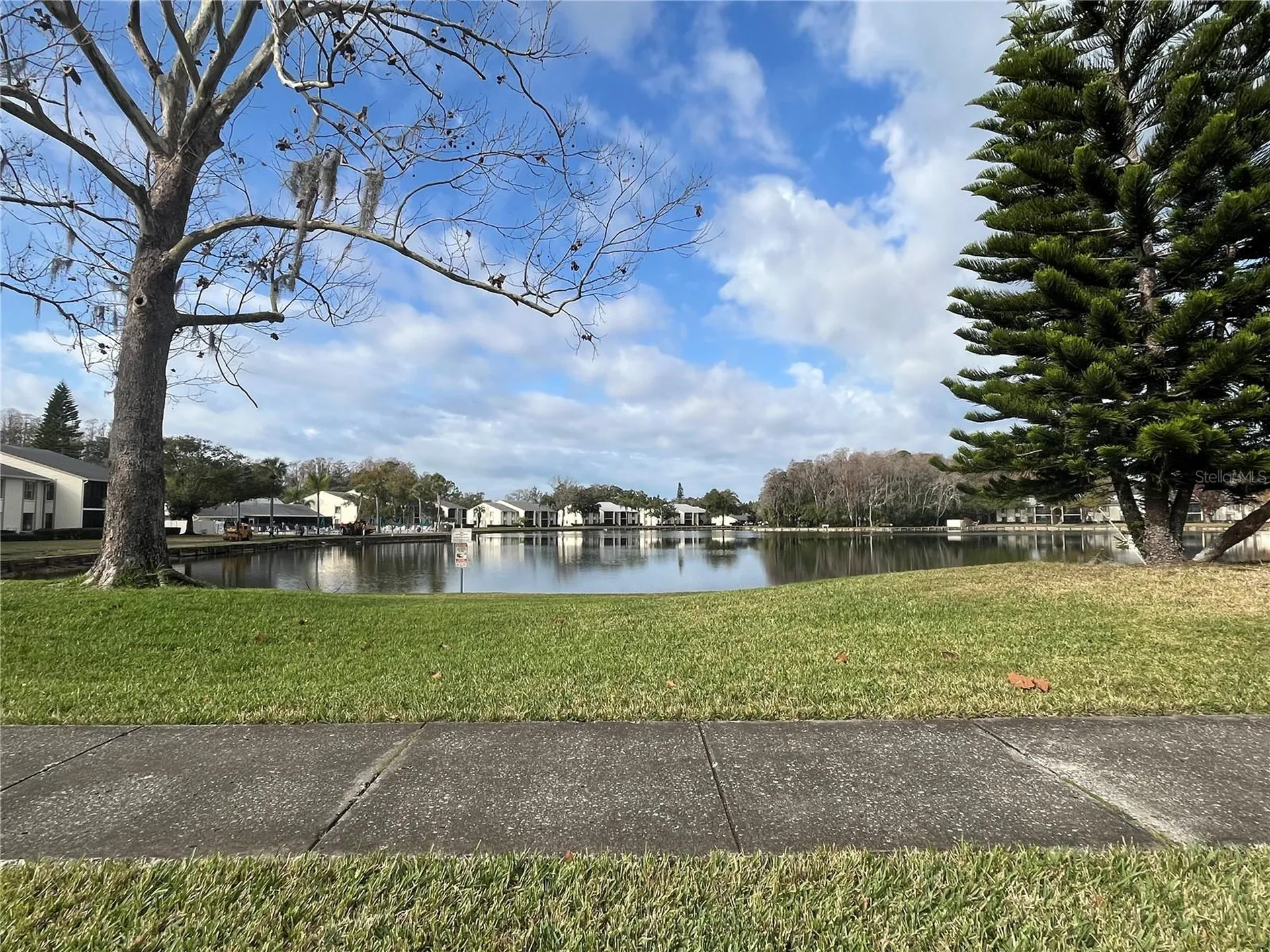 3101 Lake Pine Way Tarpon Springs FL 34688
