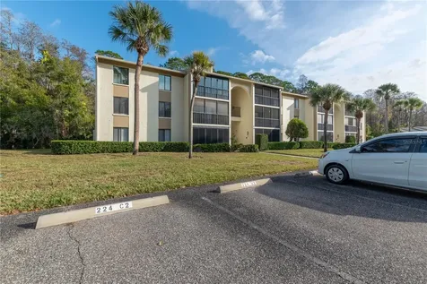 3101 Lake Pine Way Tarpon Springs FL 34688