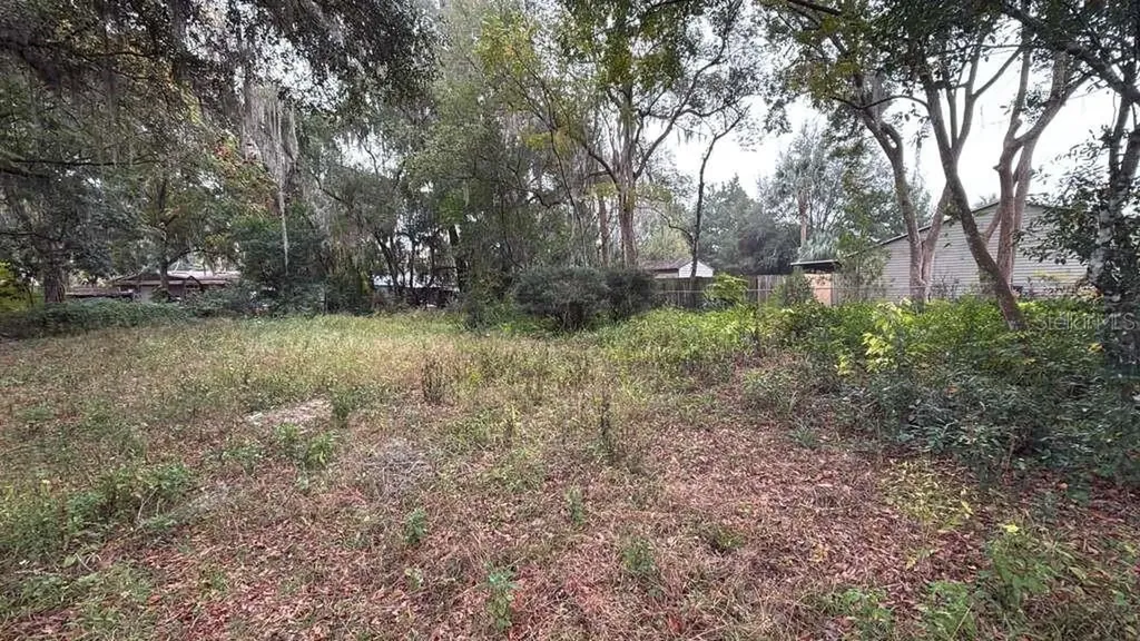 239 S Pine Street Deland FL 32724