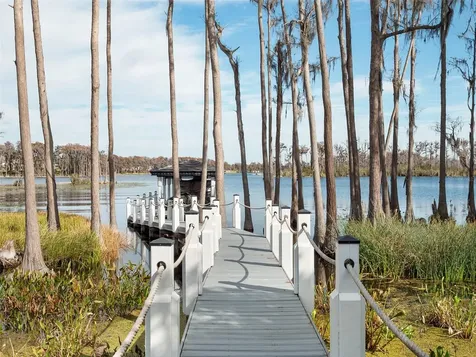 6117 Louise Cove Drive Windermere FL 34786