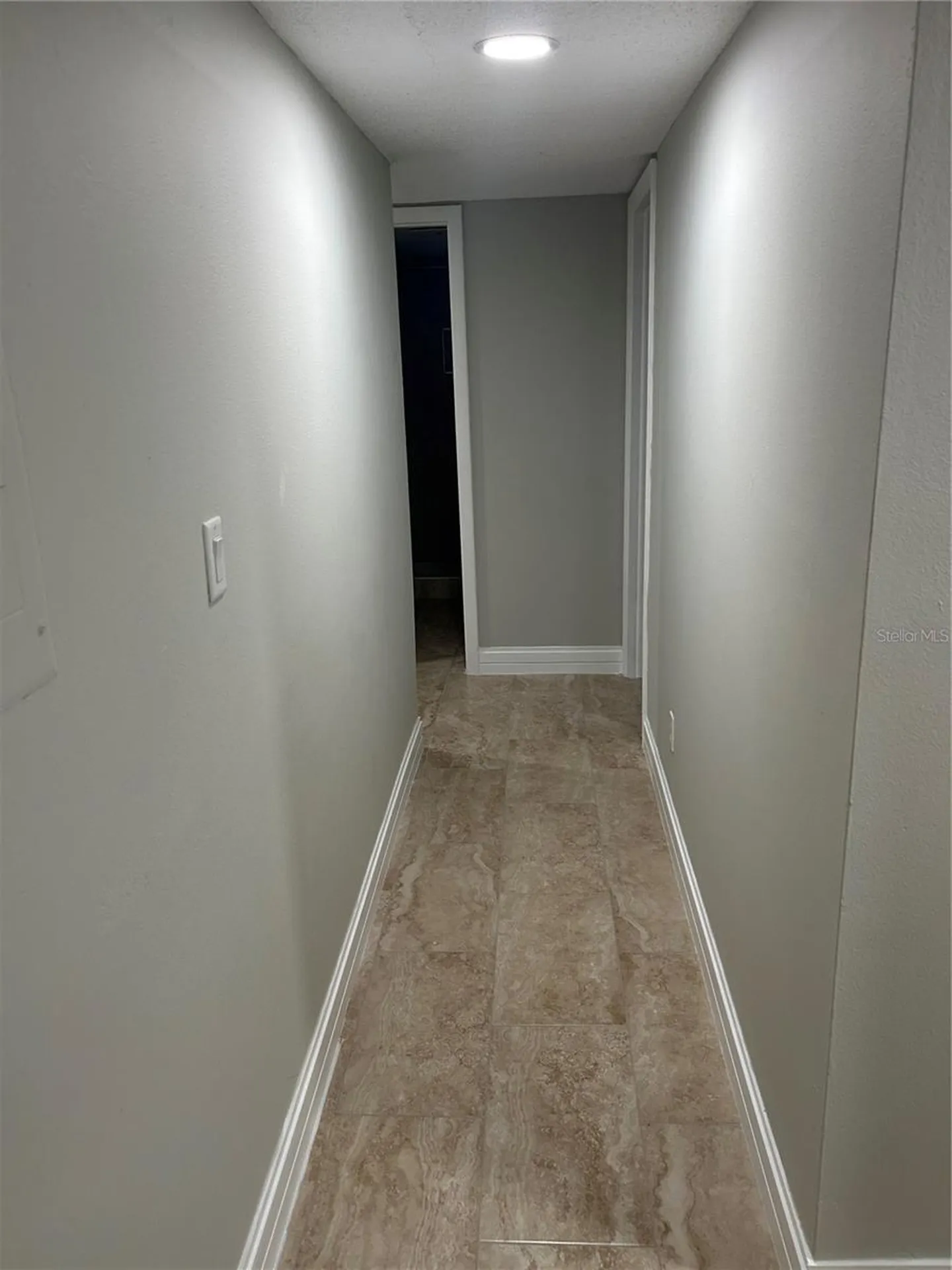 7633 Dolonita Drive Tampa FL 33615
