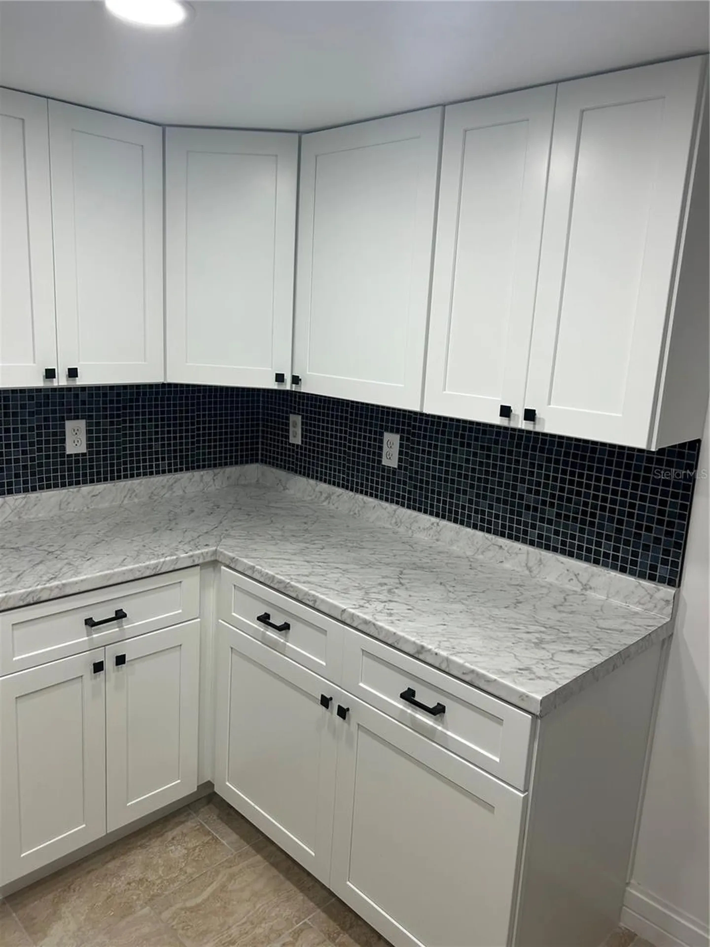 7633 Dolonita Drive Tampa FL 33615