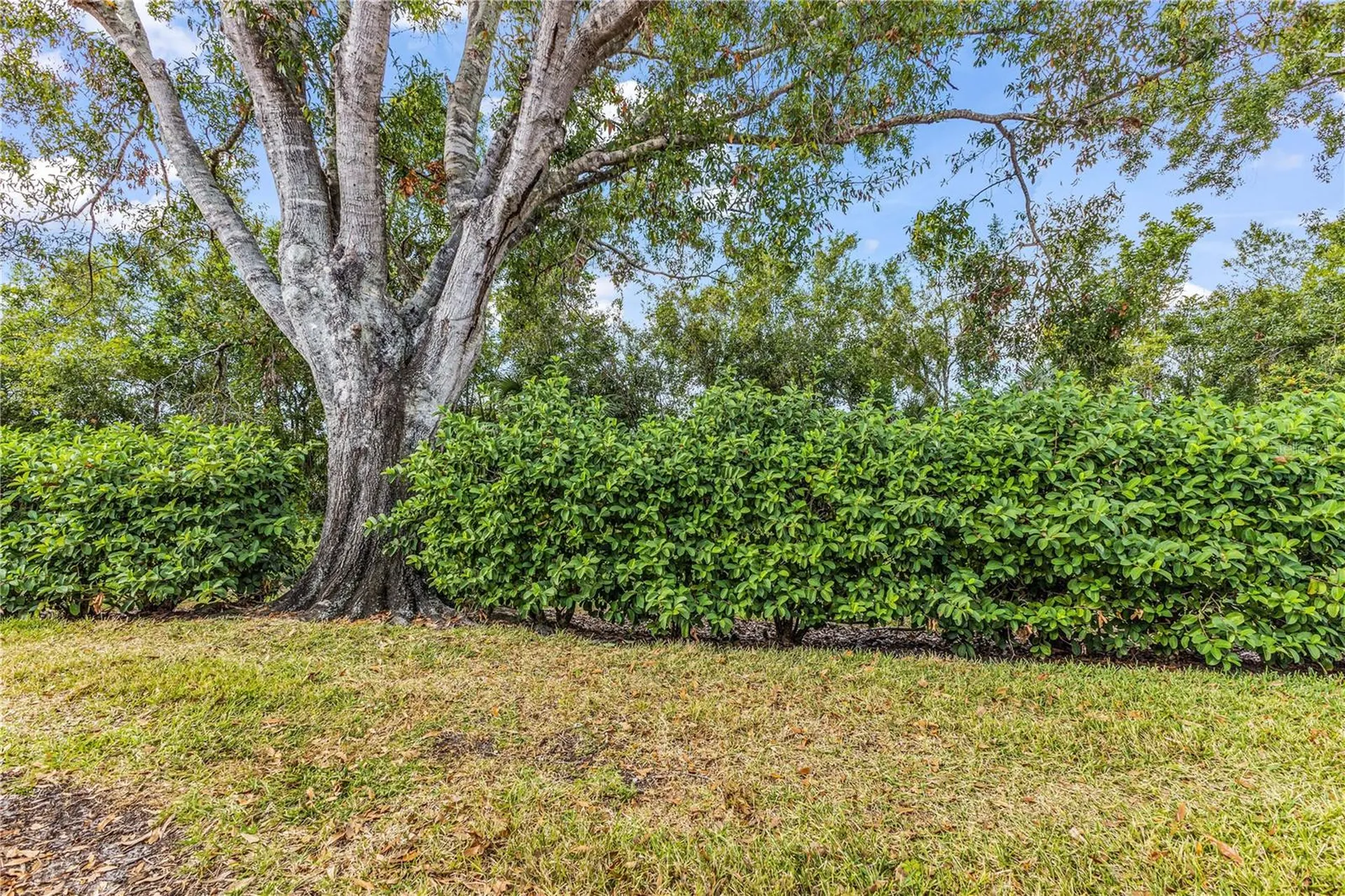 4332 Marseilles Avenue Sarasota FL 34233