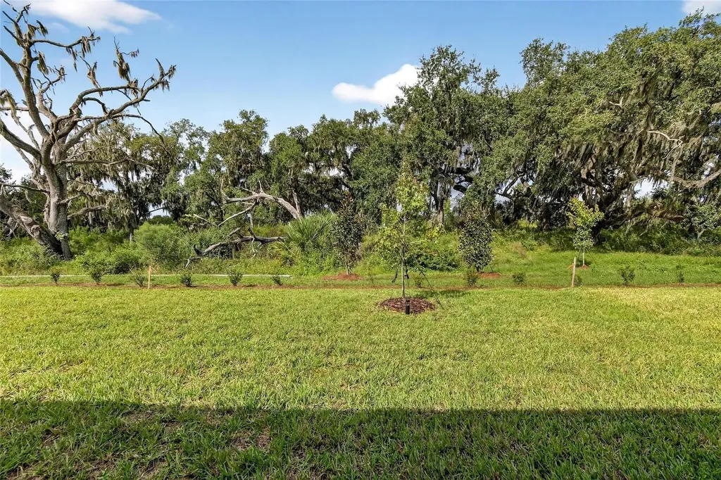 4027 Westwood Fields Loop Plant City FL 33565