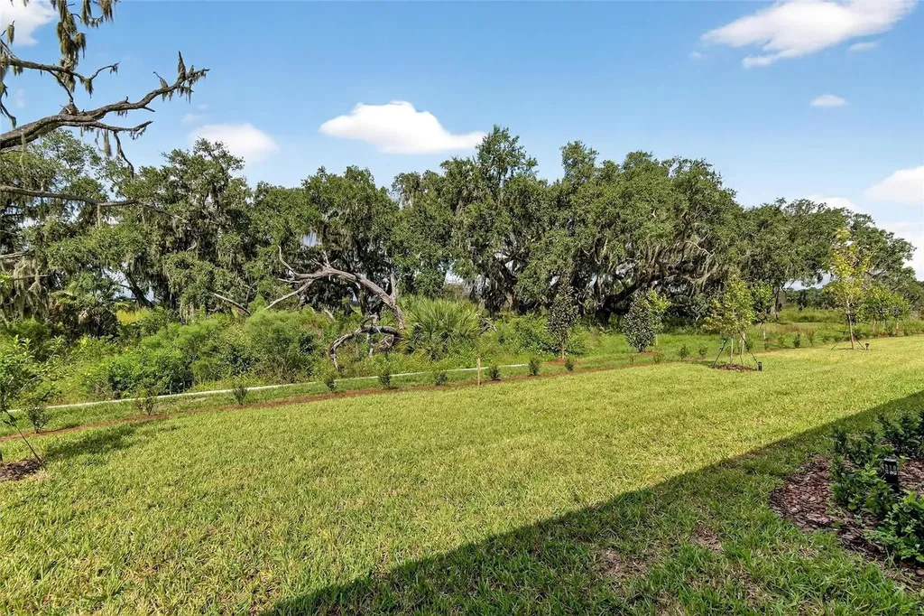 4027 Westwood Fields Loop Plant City FL 33565