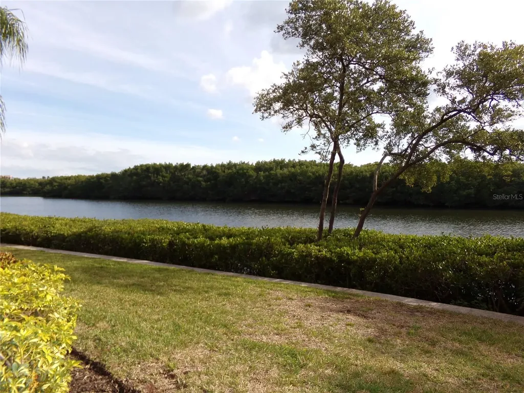 2713 Via Murano Clearwater FL 33764