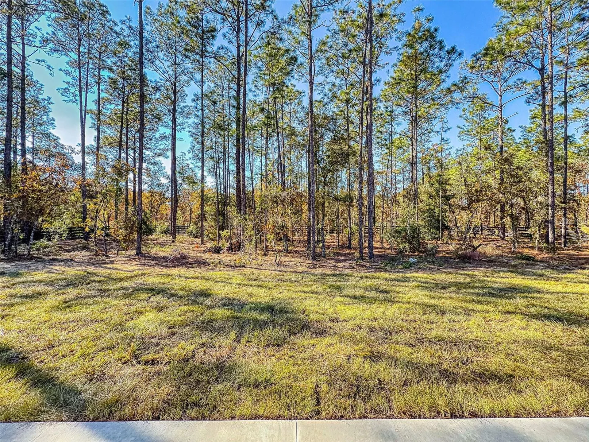 13005 SW 62nd Street Road Ocala FL 34481