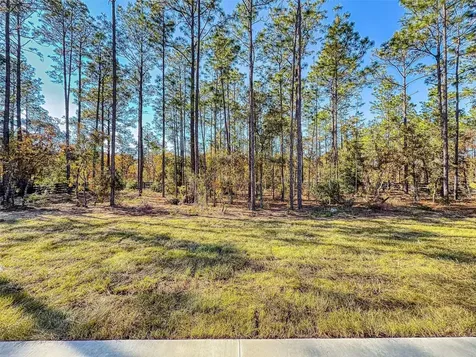 13005 SW 62nd Street Road Ocala FL 34481
